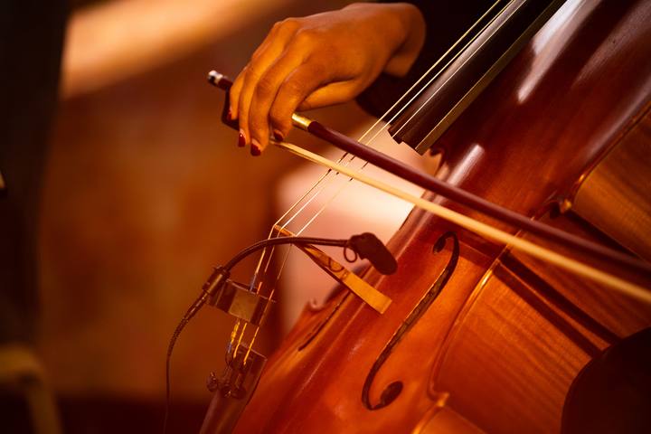 A cellist playing during dinner