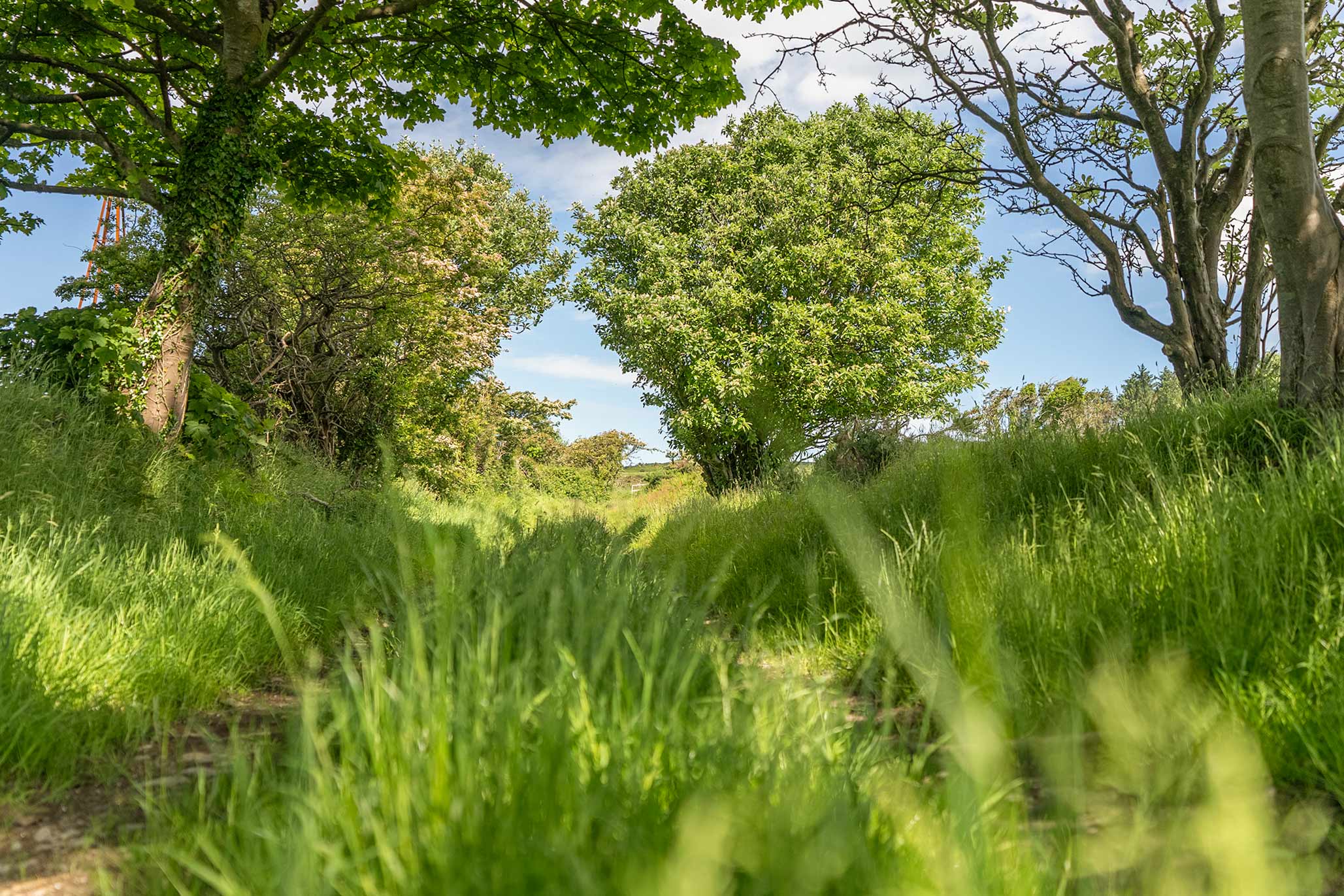 Buildings and Land, Cooil Roi Farm, Baldrine Buy Me Isle of Man