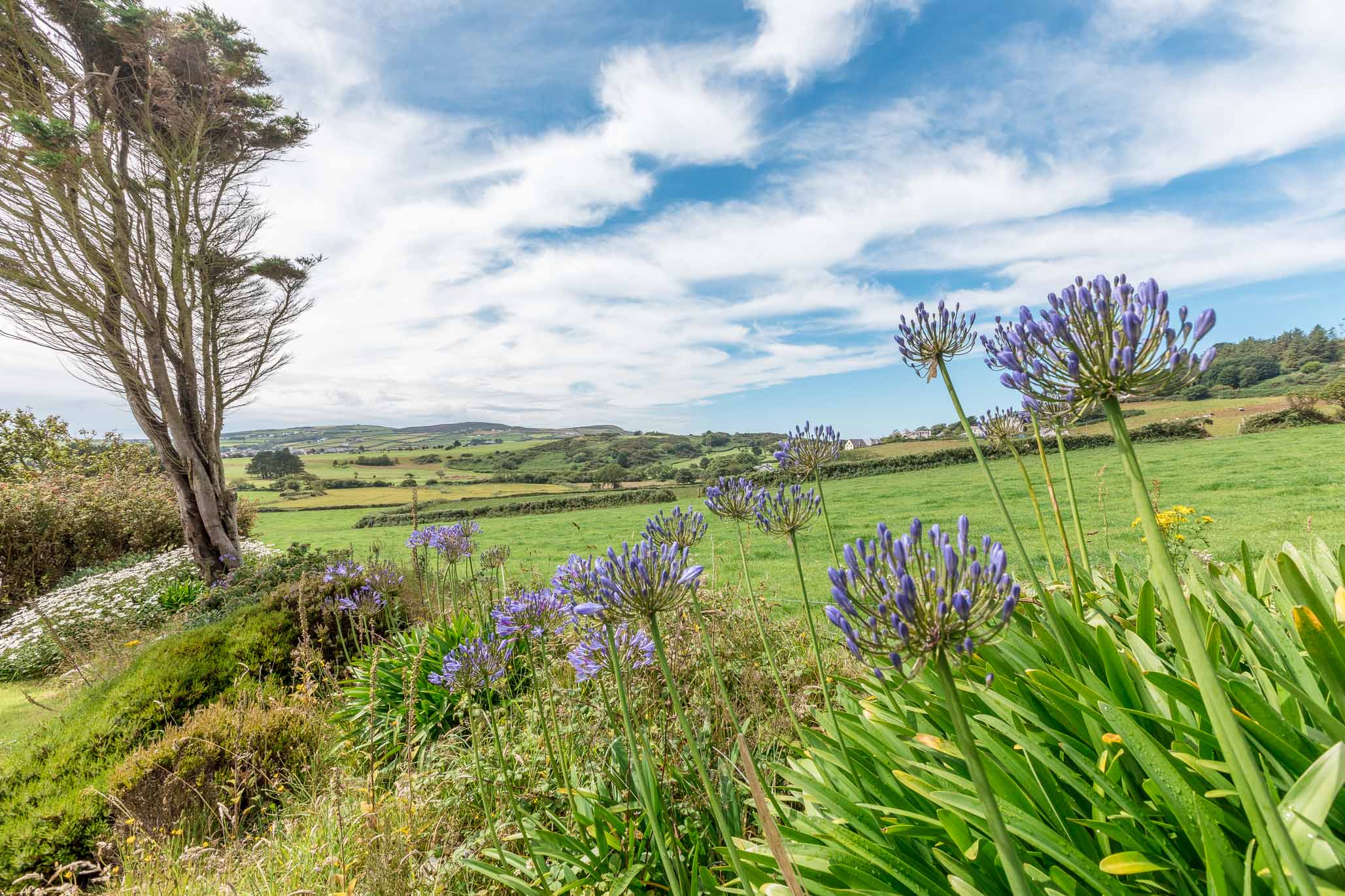 Sharrow House, Ballagale Avenue, Port Erin Buy Me Isle of Man